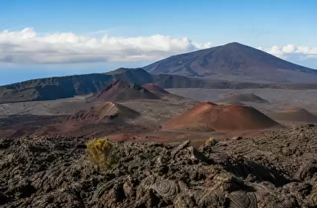 A La Réunion
