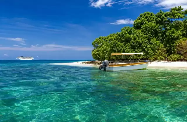 A Pig Island