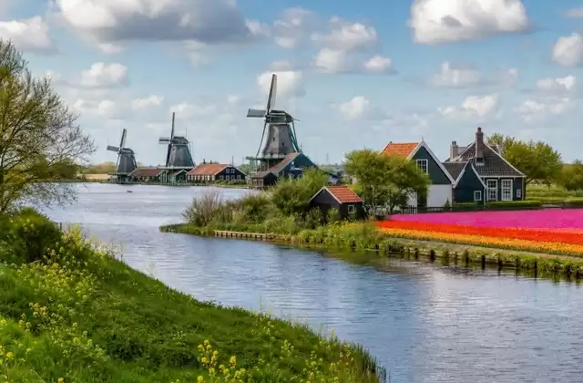Nei dintorni di Amsterdam