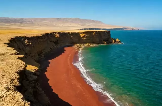 Nella riserva di Paracas