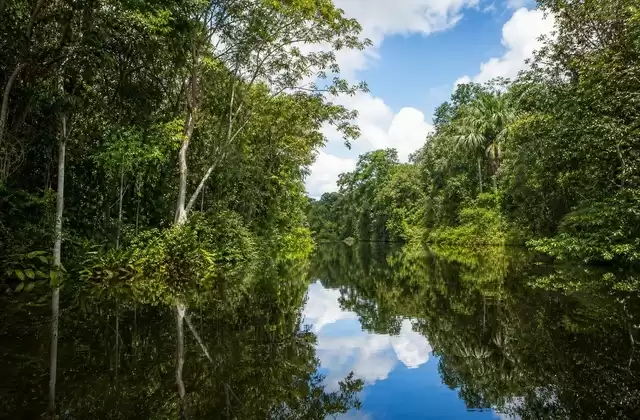 Nell'Amazzonia peruviana