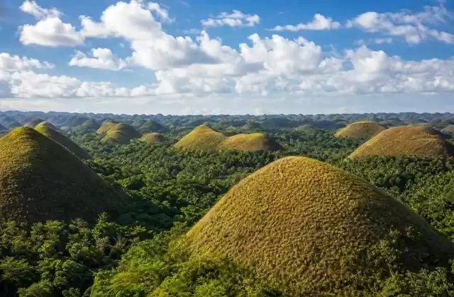 A Bohol