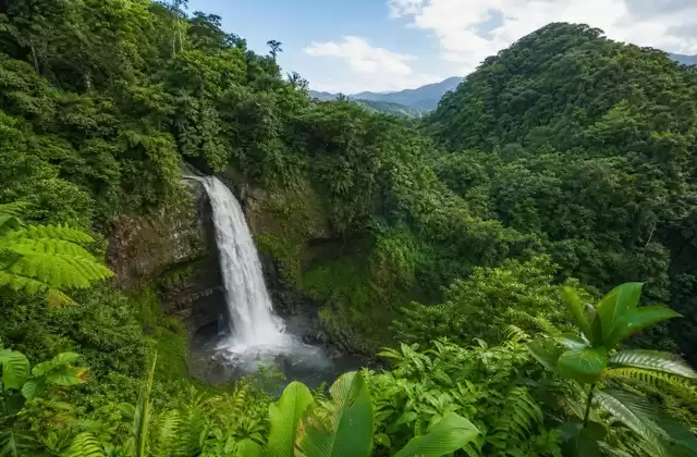 A El Yunque