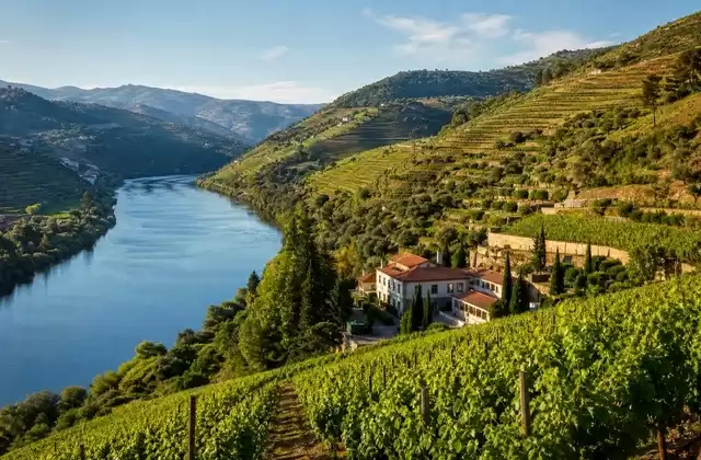 Nel Douro