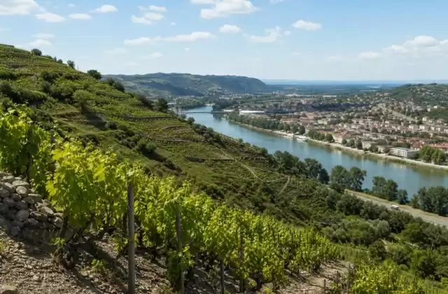 A Tain-l'Hermitage