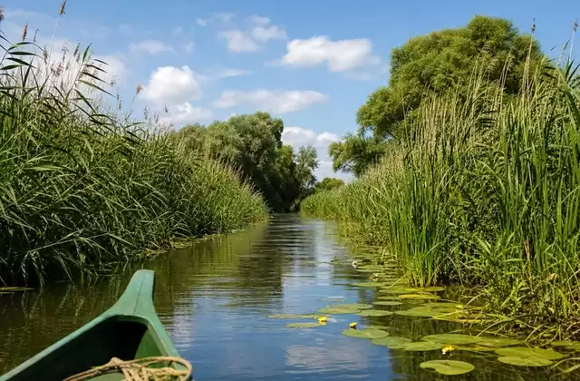 Nel Delta del Danubio
