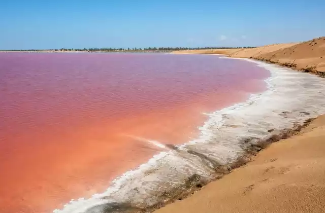 Al Lac Rose