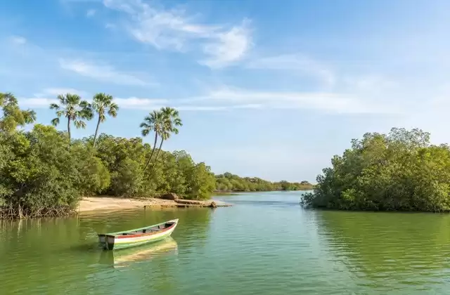 Nel Sine-Saloum