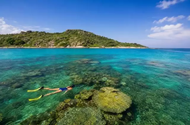 A Pigeon Island