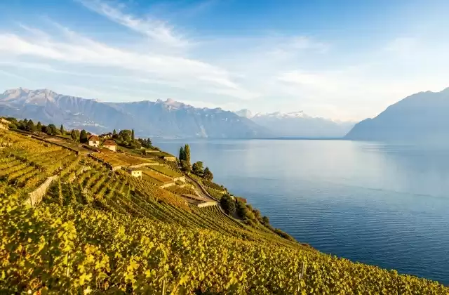 Da Lavaux