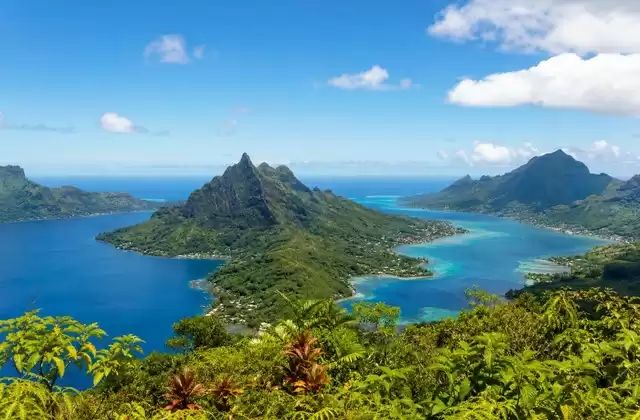 A Moorea