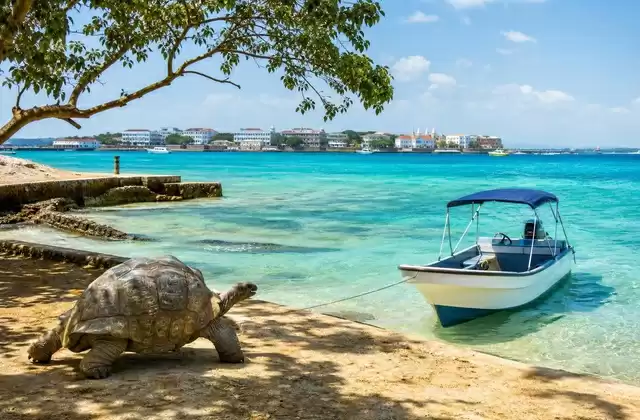 A Prison Island