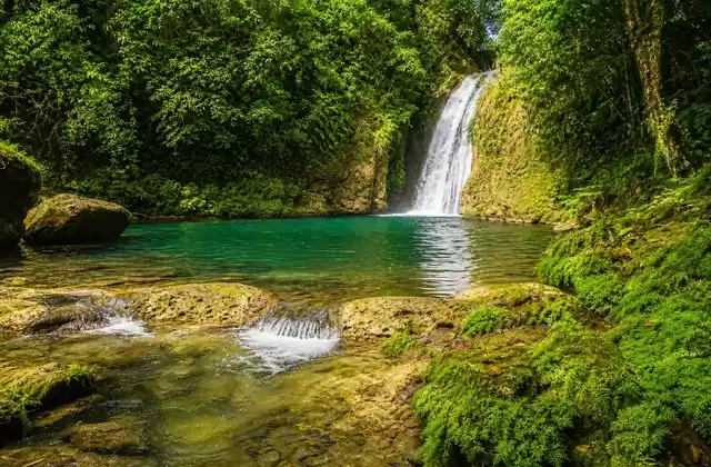 A Mele Cascades