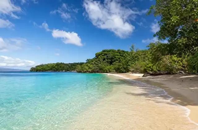 A Champagne Beach