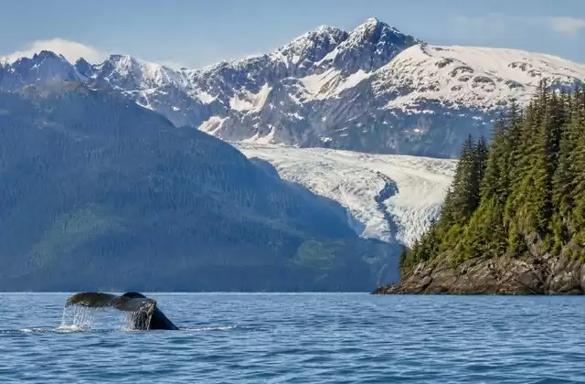 Juneau