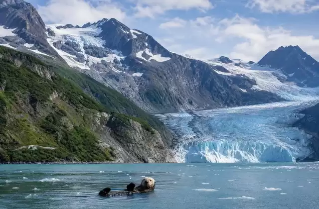 Seward