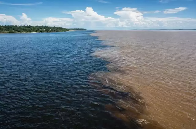L'incontro delle acque a Manaus