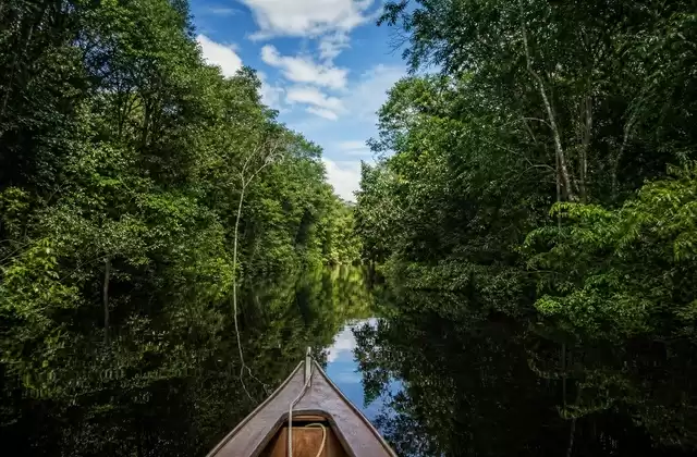 Navigazione sul Rio Negro