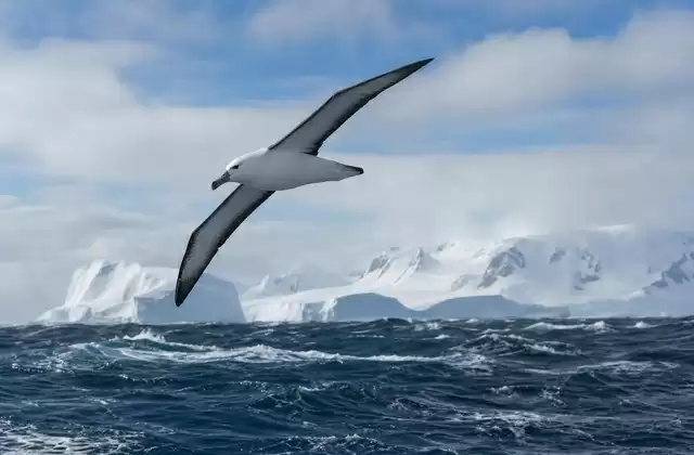 Il Passaggio di Drake e la Corrente Circumpolare