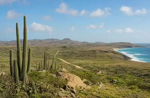 Arikok National Park