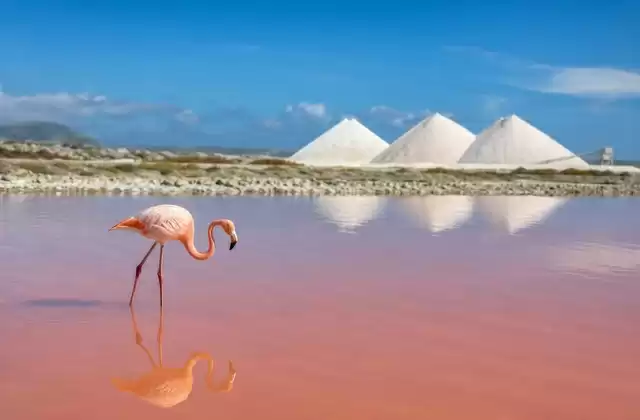 Saline di Pekelmeer