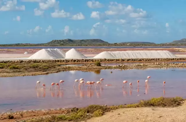 Saline di Pekelmeer