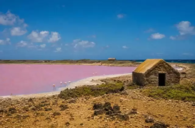 Saline di Pekelmeer