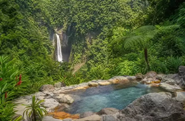 Dominica