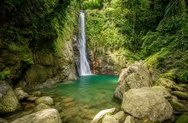 Dominica