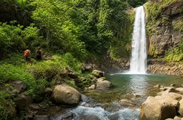 Dominica