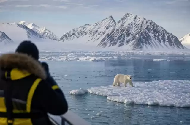 Alla ricerca dell'orso polare
