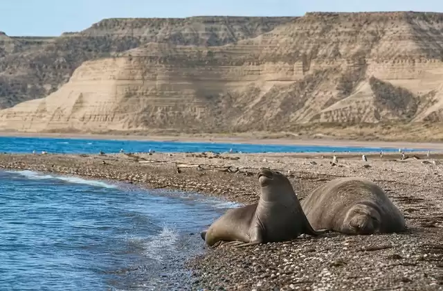 Penisola di Valdés