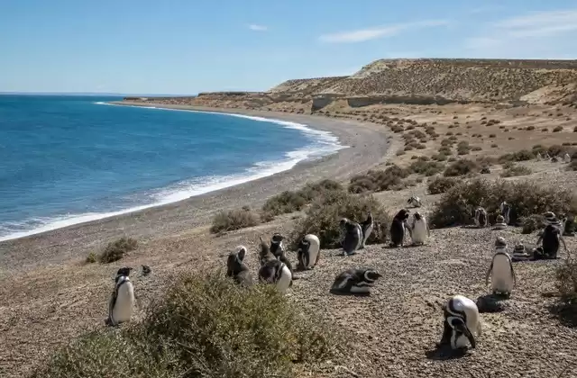 Penisola di Valdés