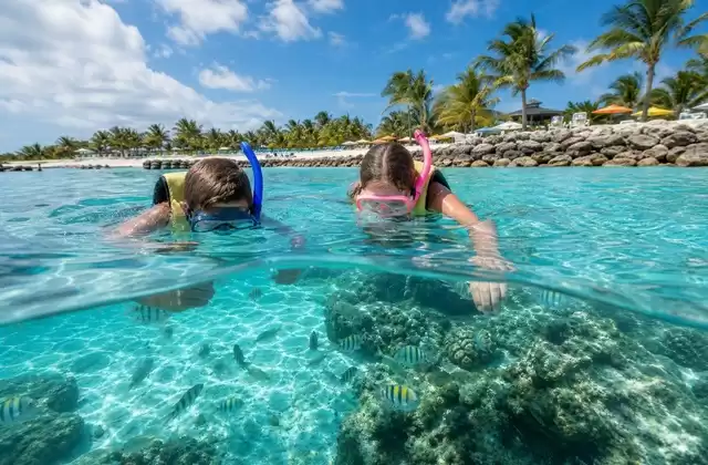 Chill Island