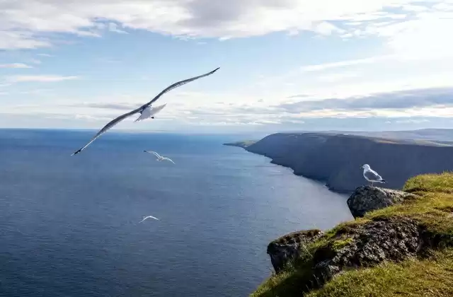 Capo Nord
