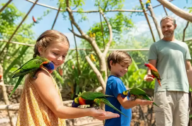 Costa Maya