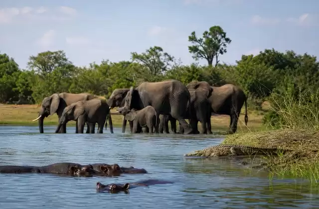 Safari in barca sul fiume Chobe