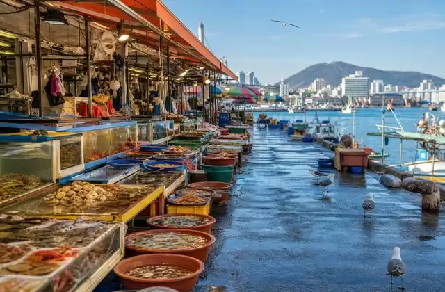 Mercato di Jagalchi