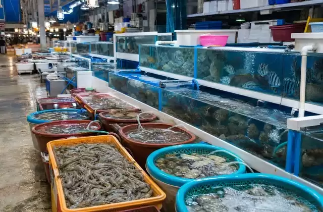 Mercato di Jagalchi