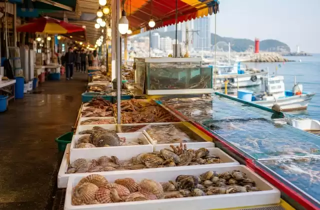 Mercato turistico e ittico di Sokcho