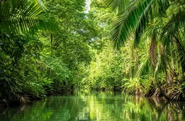Puerto Limón