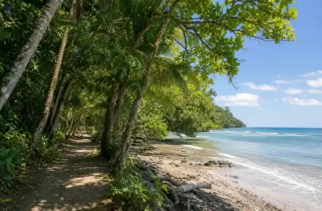 Parco nazionale di Cahuita