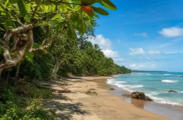 Parco nazionale di Cahuita
