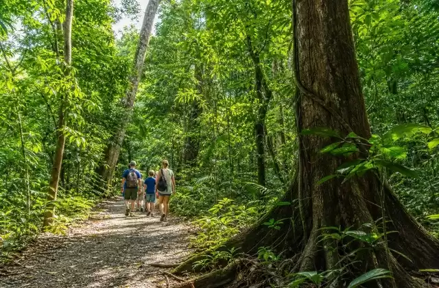 Foresta di Carara