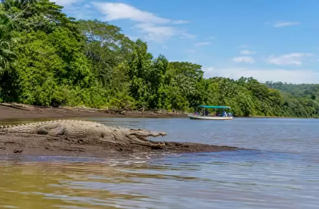 Fiume Tárcoles