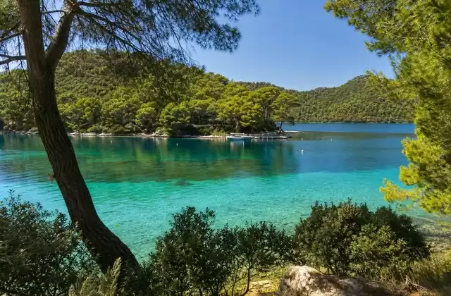 Mljet