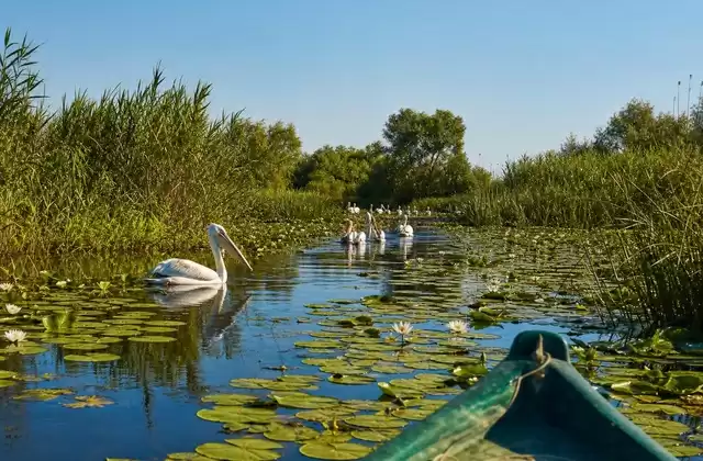 Il Delta del Danubio su una piccola imbarcazione