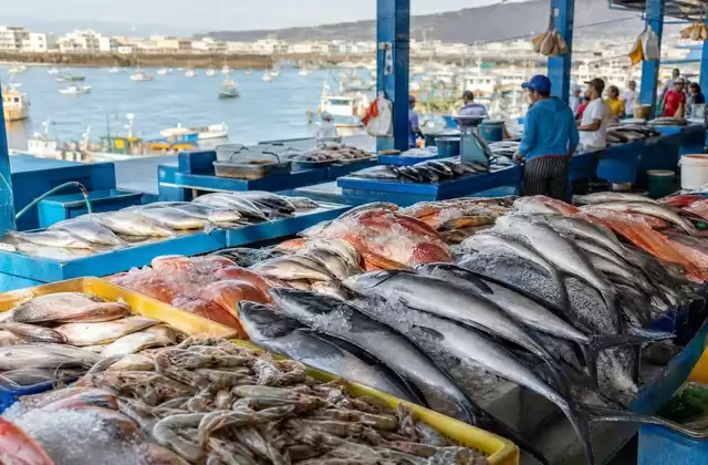 Mercato del pesce di Manta