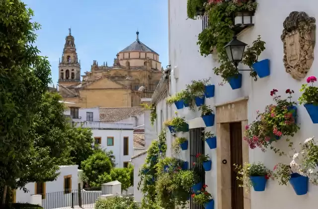 Un'estensione a Cordova