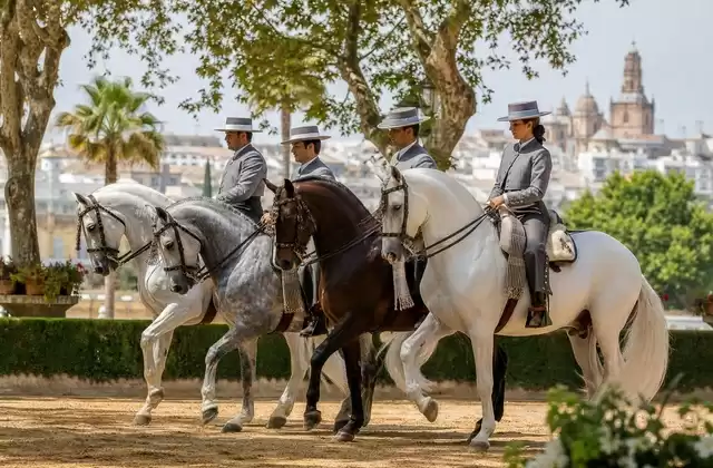 Spettacolo equestre andaluso